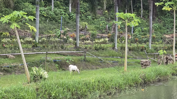 Agricultural Training 1